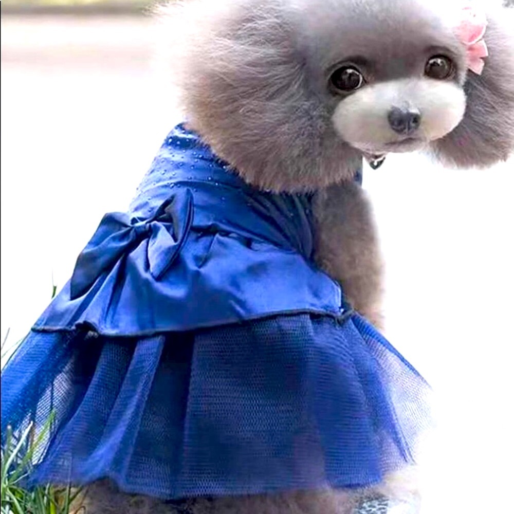 Princess Dog/Cat Dress
